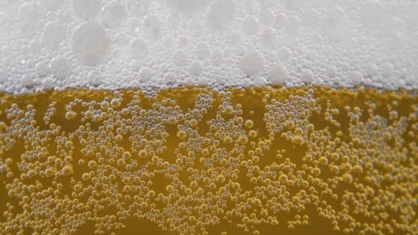 Filmato di birra fredda dorata in vetro con bollicine — Video Stock