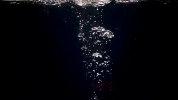물에 떨어지는의 장면 레드 애플 — 비디오