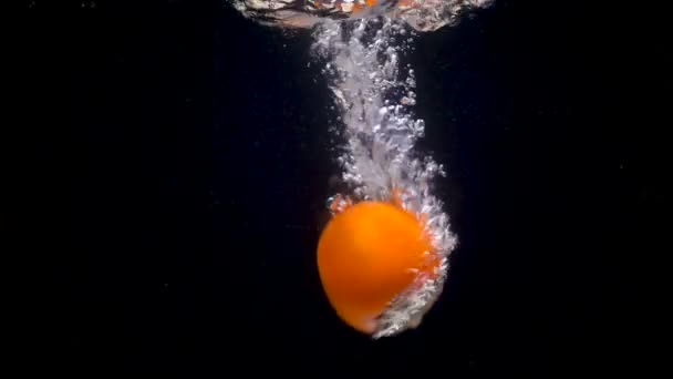 Video of falling persimmon in the water — Stock Video