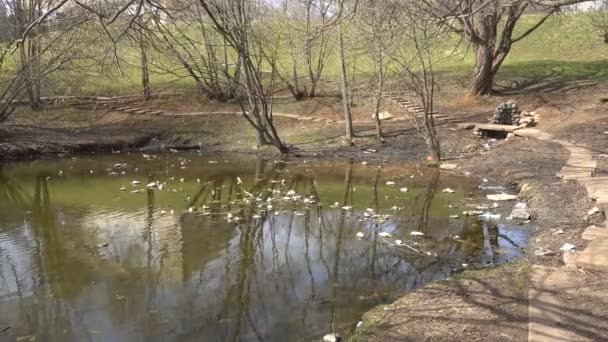 Грязный пруд в парке — стоковое видео