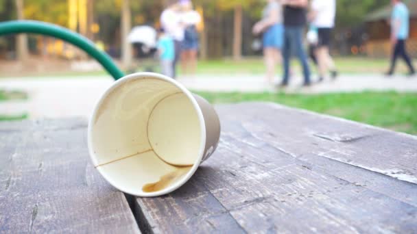 ベンチに使い捨てカップ — ストック動画