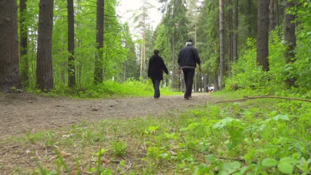 Wandelende mensen in het bos — Stockvideo