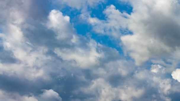 Bílé mraky na modré obloze za slunečného dne — Stock video