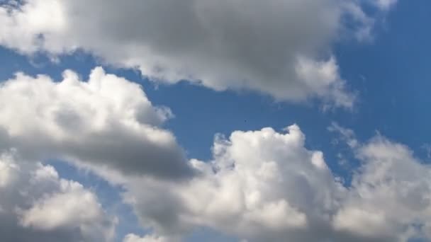 Nuvole bianche sul cielo blu nel giorno d'estate — Video Stock