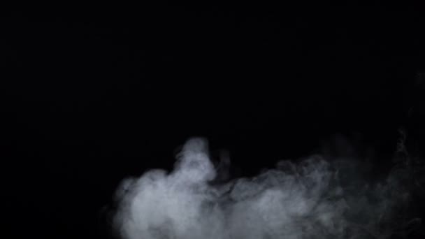 Video shooting of white cigarette smoke on black background — Stock Video