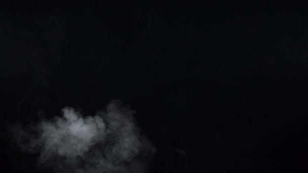 黒い背景に白いタバコの蒸気の撮影 — ストック動画