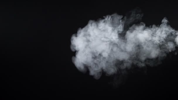 Tiro de vapor de cigarro branco no fundo preto — Vídeo de Stock