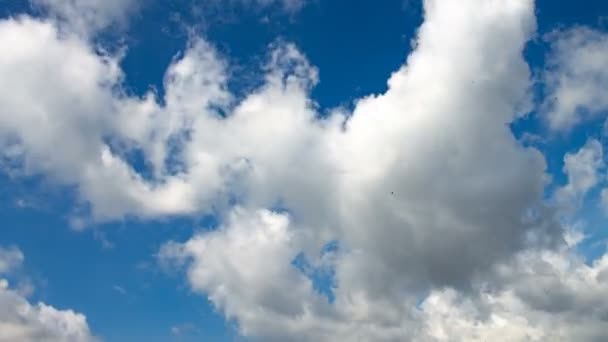 Beelden van de witte wolken op de blauwe hemel in de zomer — Stockvideo