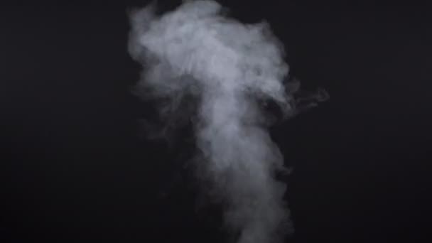 Άσπρο τσιγάρο καπνού σε μαύρο φόντο — Αρχείο Βίντεο