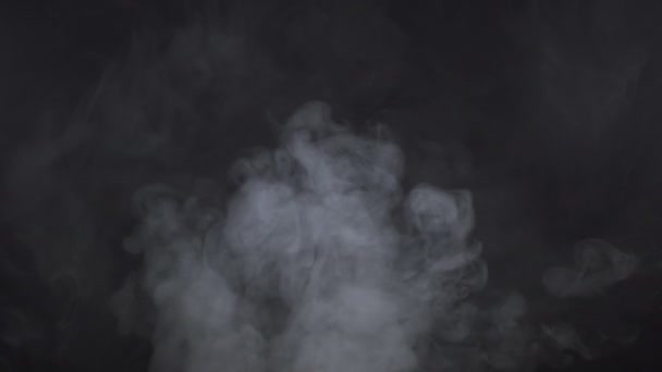 White cloudy cigarette smoke on black background — Stock Video