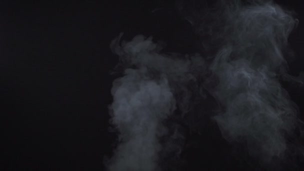 White cloudy cigarette mist on black background — Stock Video