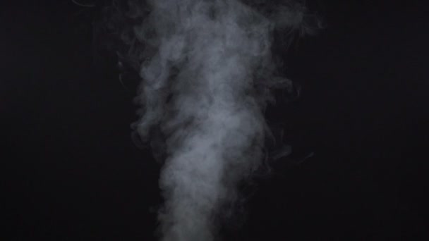 White cloudy cigarette vapor on black background — Stock Video