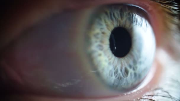Tir macro de l'oeil bleu de femmes — Video