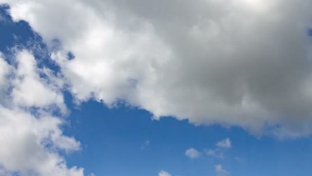 Clouds on blue sky in summer time — Stock Video