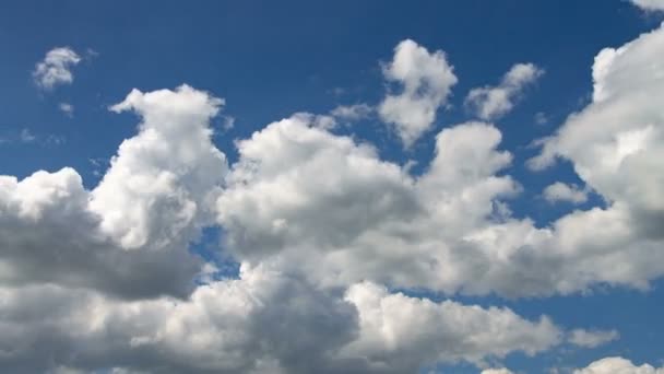 여름철 하늘에 구름의 시간 경과 — 비디오
