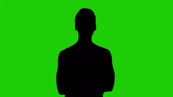 Girls silhouette with arms crossed on green background — Stock Video