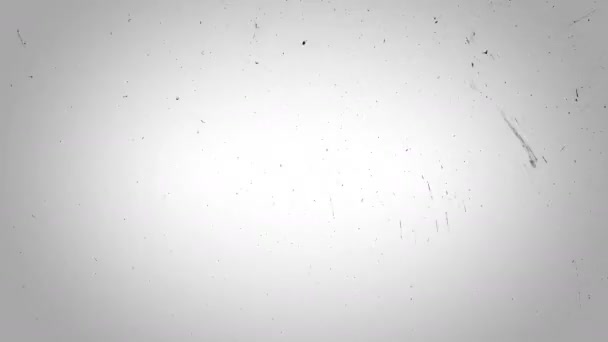 白い背景にレトロなカメラのパターン — ストック動画