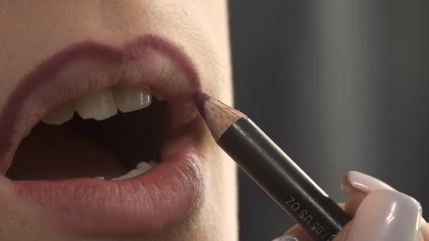 Video de visagista aplicando lápiz labial — Vídeo de stock