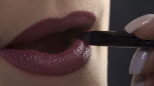 Video de maestro aplicando lápiz labial púrpura — Vídeo de stock