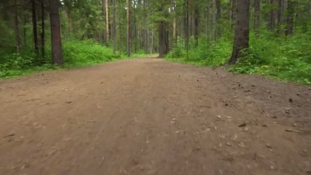 Video de camino de tierra vacío — Vídeos de Stock