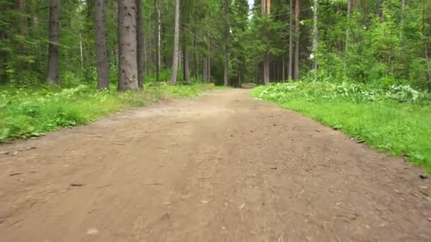 Vidéo de route de terre dans la route — Video