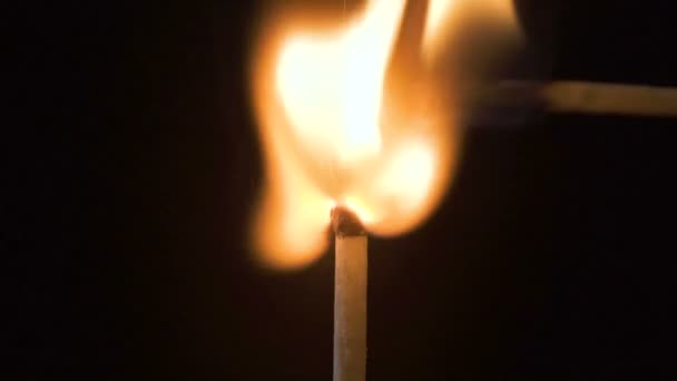 Відео запалювання дерев'яної палички — стокове відео