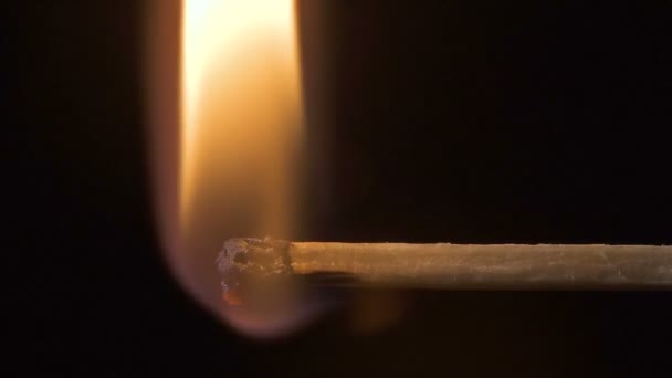 Video av vedeldning Matchstick — Stockvideo