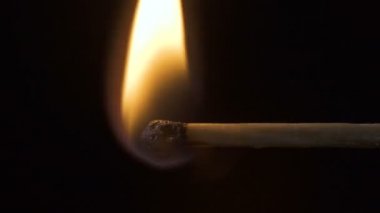 Ahşap ince smouldering maç Video