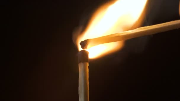 Video van hout dunne Burning stick — Stockvideo