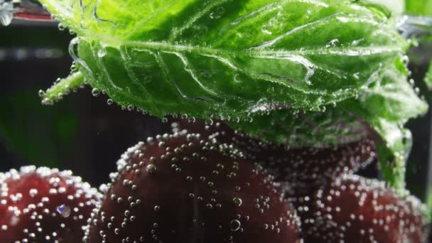 Cherry in glass with mint and bubbles of soda water — Stock Video