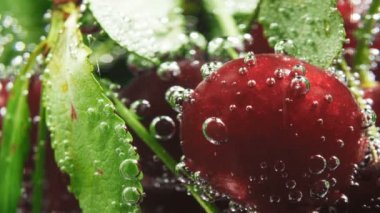 Kiraz ve soda kabarcıkları, makro