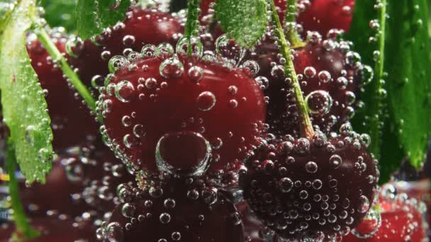 Red cherry and water bubbles in glass — Stock Video