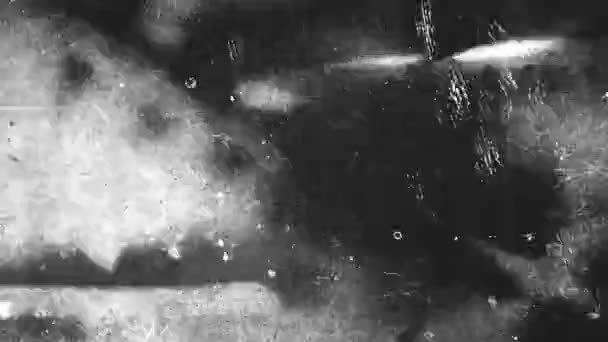 Video of scratched movie texture in black and white colors — Stock Video