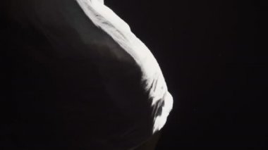 Beyaz gömlek altında seksi kalça Video