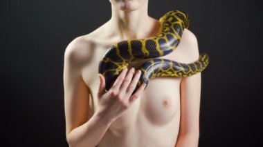 Siyah arka planda kadın vücudunda sürünen yılan Video