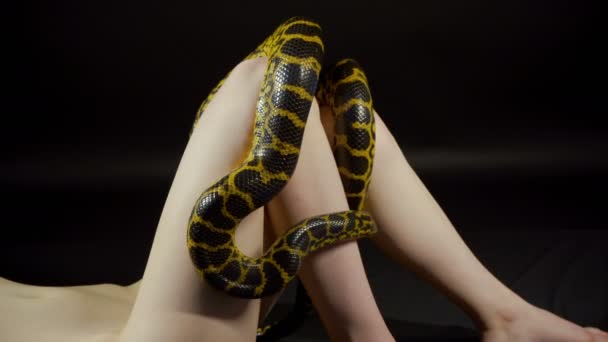Yellow anaconda crawling on young womans legs — Stock Video