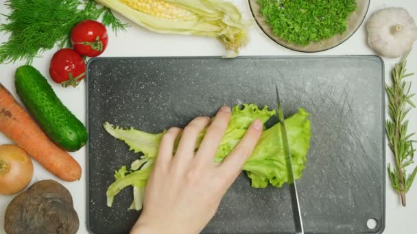 Video di taglio iceberg insalata in cucina — Video Stock