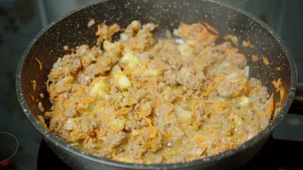 Shooting of cooking filling in the skillet — Stock Video