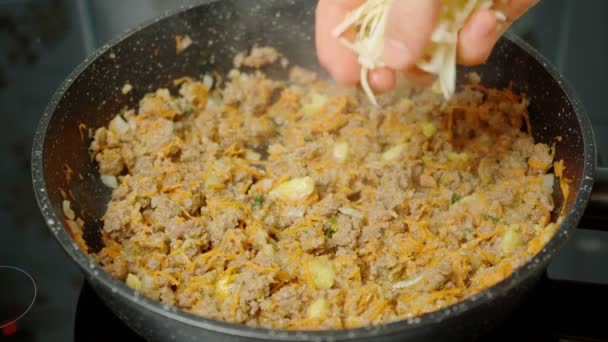 Aufnahme der Kochfüllung in die Pfanne — Stockvideo