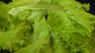 Yeşil marulun üzerine düşen kırmızı domates videosu