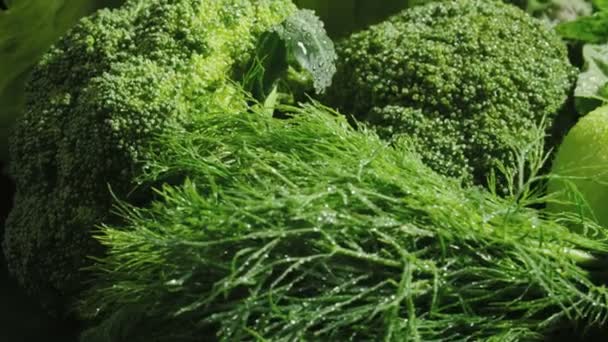 Videó zöld nedves vegyes növényi készlet