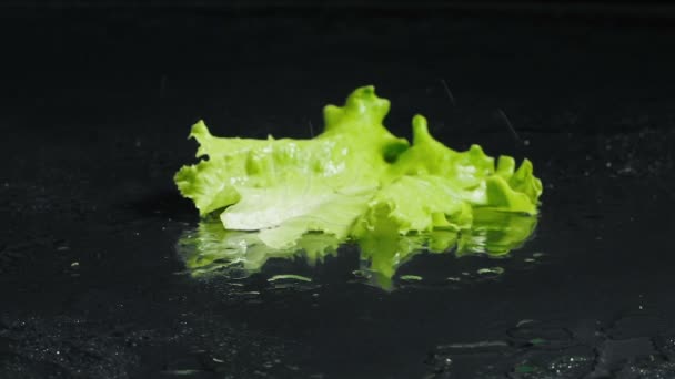 Video von fallenden nassen grünen Blättern des Salats — Stockvideo