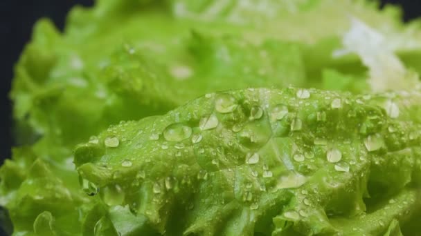 Video de ensalada húmeda con gotas de agua — Vídeo de stock