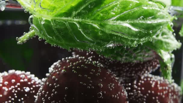 Ripe cherry in glass with mint and soda water — Stock Video