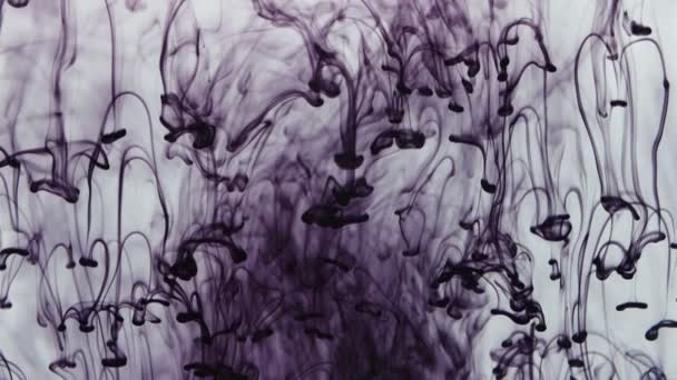 Texture of drops of purple paint falling in water — Stock Video