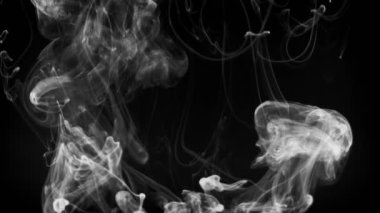 Suda çözünen beyaz dumanlı bulutların videosu