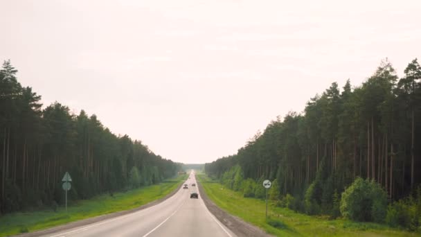 Beelden van een weg uit een rijdende auto in de zomer — Stockvideo