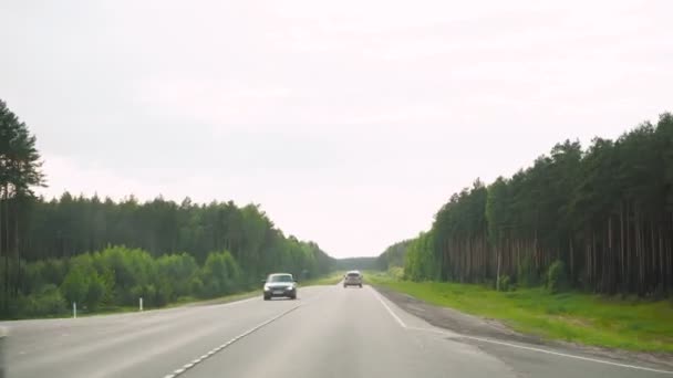 Δρόμος από κινούμενο αυτοκίνητο το καλοκαίρι — Αρχείο Βίντεο
