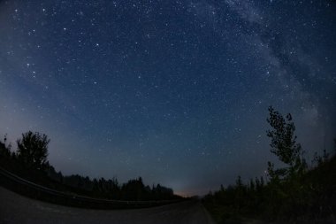Gece gökyüzünün manzarası Yıldızlar ve ağaçlarla