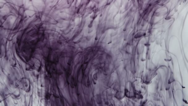 Pattern of drops of purple paint falling in water — Stock Video